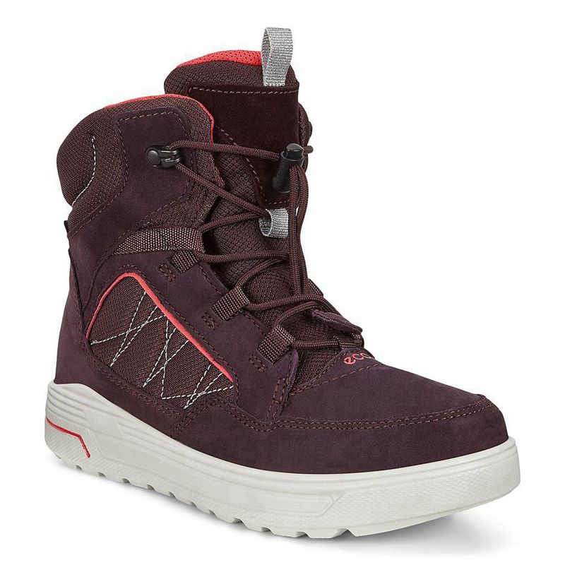 Kids Ecco Urban Snowboarder - Snow Boots Purple - India VSIOLG345